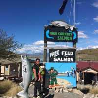 High country salmon 