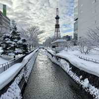 ☃️Odori Park สวนสาธารณะโอโดริ ในฤดูหนาว☃️❄️