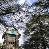 Dharamshala: A Jewel in the Himalayas