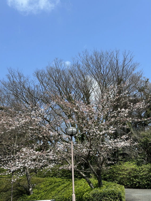 【山口】関門海峡を見ながらランチができる場所