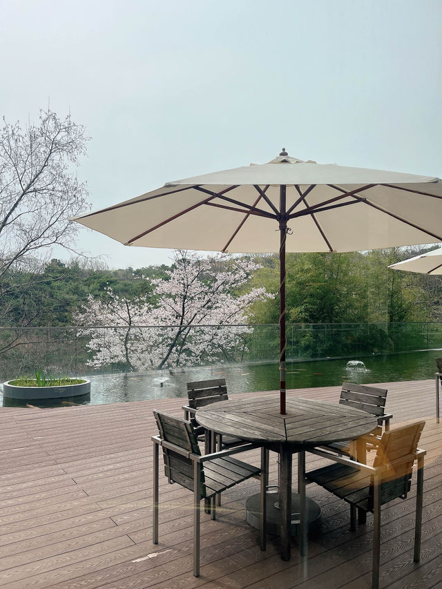 4월은 이제 봄캉스 여행이 대세!🌸 미각과 시각으로 봄맞이 여행을!