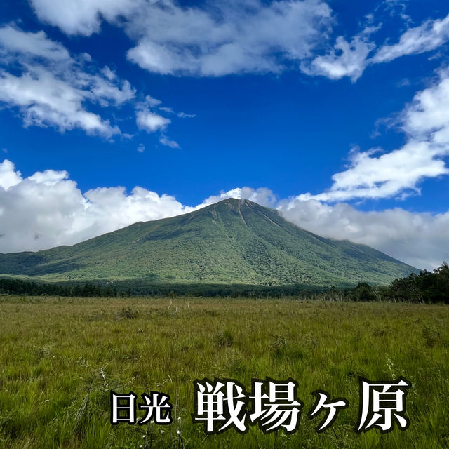 【日光】自然の美しさを感じる⛰️戦場ヶ原