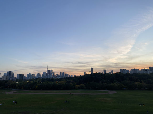 多文化の街、トロント🇨🇦
