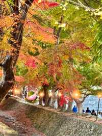 Momiji corridor อุโมงค์ใบเมเปิ้ล