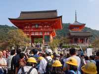 Famous attraction in Kyoto, Japan 🇯🇵