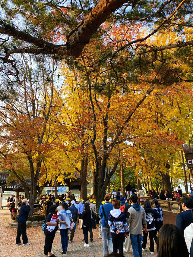 🍂 Winter Sonata Tree