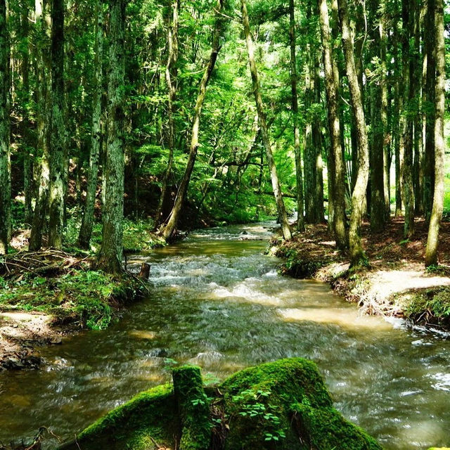 「湖光山色，舟遊豬苗代湖