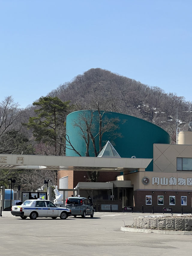 暢遊市區動物園🙉北海道圓山動物園🫶🏻