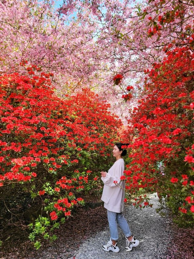 4월 전남에서 가장 핫한 봄여행코스🌸