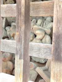 【三ツ木神社/神奈川県】オレンジに染まった石像が出迎える