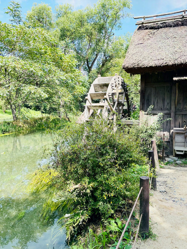 【長野県】わさびを使った絶品ランチ