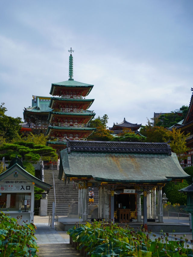 【広島】実業家の手によって建てられたお寺⛩️