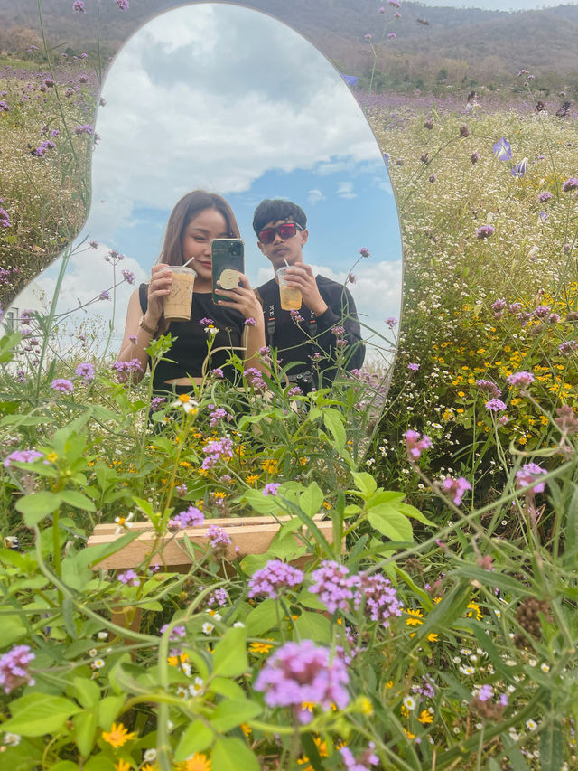 blossombloom