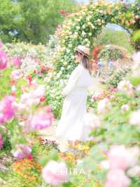 【千葉】関東でのバラ園はやっぱりここがいい