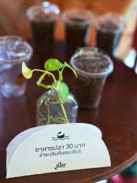 The Gardener Cafe คาเฟ่สไตล์ธรรมชาติ