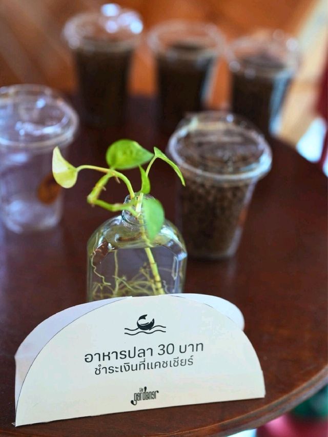 The Gardener Cafe คาเฟ่สไตล์ธรรมชาติ