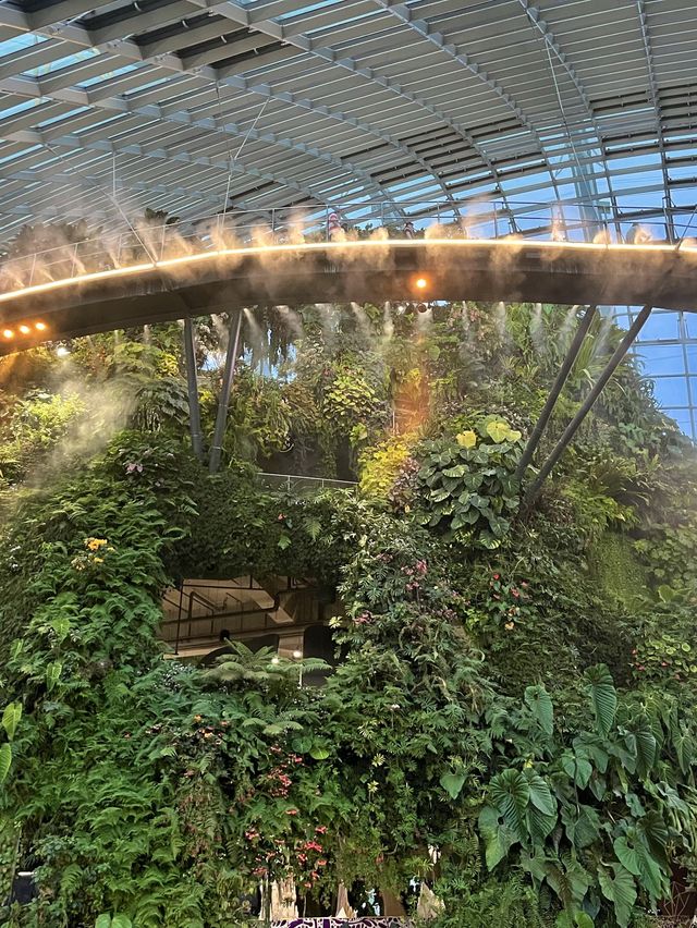 🇸🇬 Cloud Forest at Gardens by the Bay