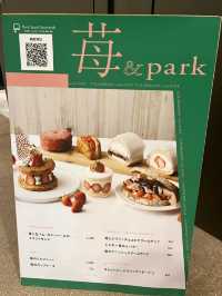 【福岡ピクニック】福岡の真ん中で夜ピクニック🌃🧺