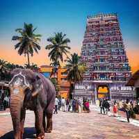 Udupi: A Coastal Gem of Karnataka