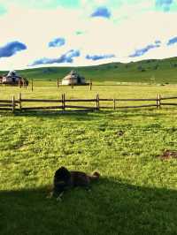 [몽골🇲🇳]스위스같은 초록초록의 나라:몽골 중앙주🍀