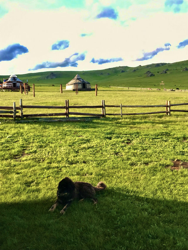 [몽골🇲🇳]스위스같은 초록초록의 나라:몽골 중앙주🍀