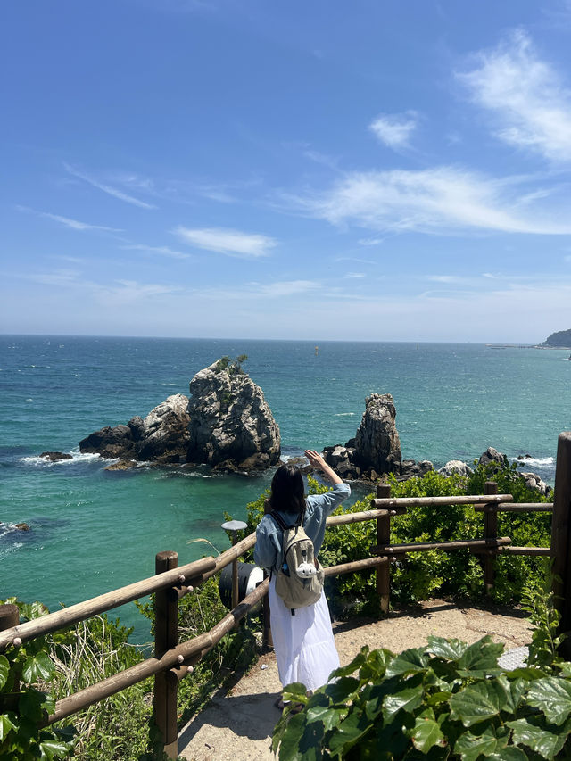 추암 촛대바위, 동해의 숨은 보물 🌊🌿