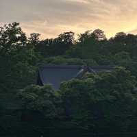 「交通公園～大自然恬靜」