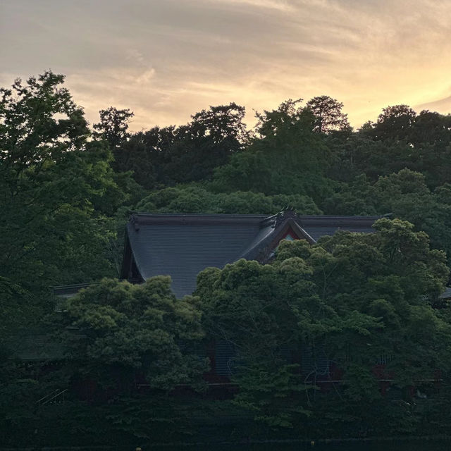 「交通公園～大自然恬靜」