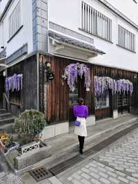 【岡山/一年中藤の花を楽しめる】映え空間のお洒落カフェが美観地区外れにあった！