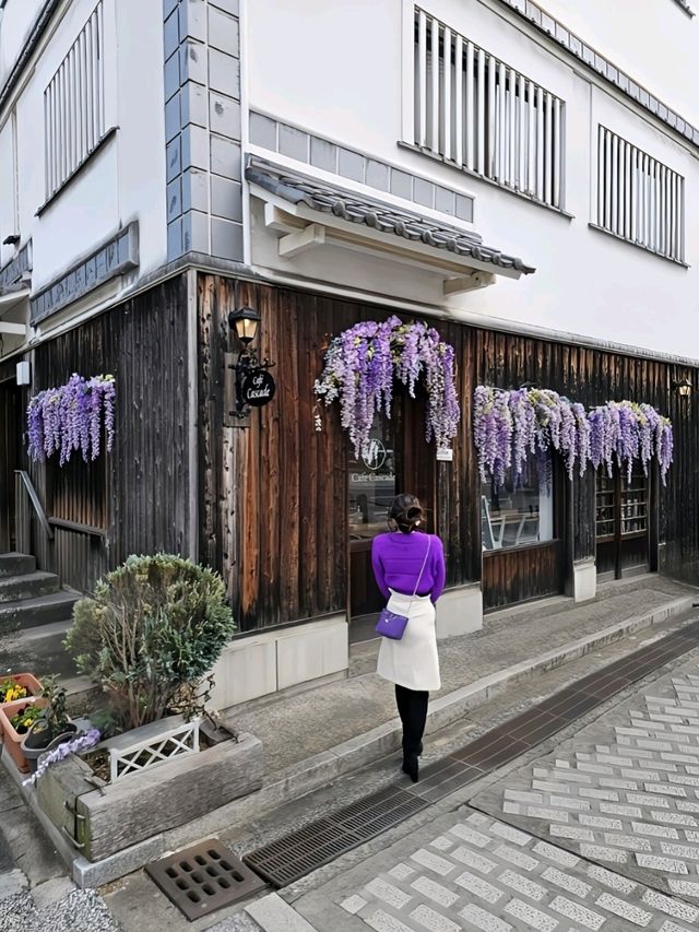 【岡山/一年中藤の花を楽しめる】映え空間のお洒落カフェが美観地区外れにあった！