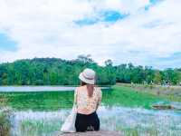 ฤดูฝนนี้…ไปสูดอากาศที่เขาใหญ่กันเถอะ