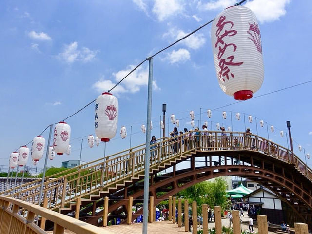 茨城水鄉潮來花菖蒲祭
