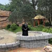 【中山紫馬嶺動物園】乾淨整潔，零距離接觸大笨象🐘！