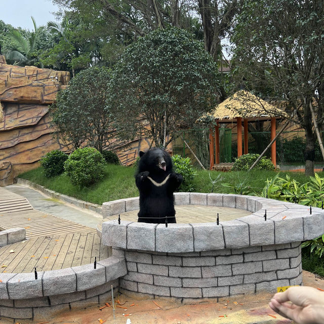 【中山紫馬嶺動物園】乾淨整潔，零距離接觸大笨象🐘！