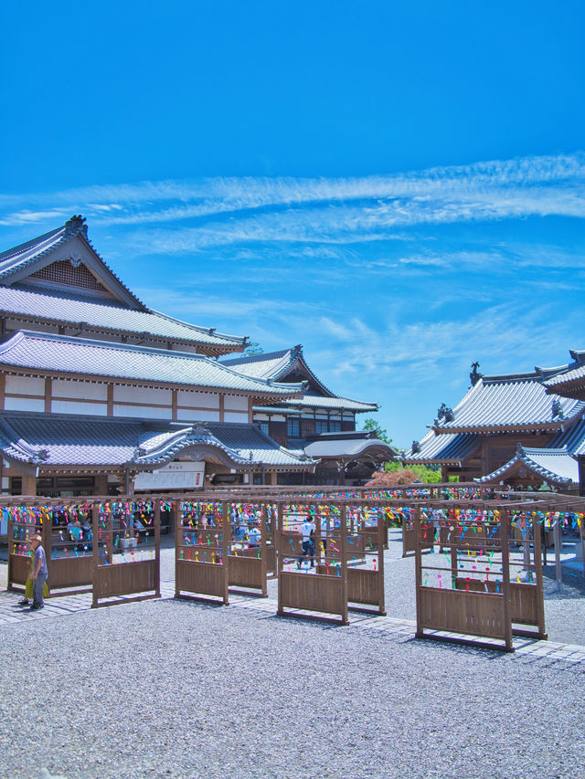 【静岡】期間限定‼️無料⁉️カラフルな風鈴で映えを狙え📸日本一大きい木造のあれも