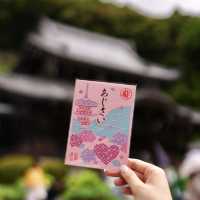 京都のあじさいスポット【三室戸寺】