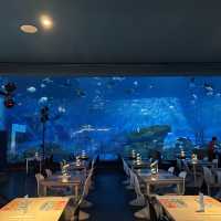 Shanghai Haichang ocean park