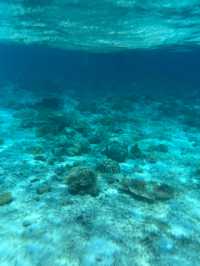 馬來西亞🇲🇾仙本那｜在果凍海拍照浮潛跳島遊