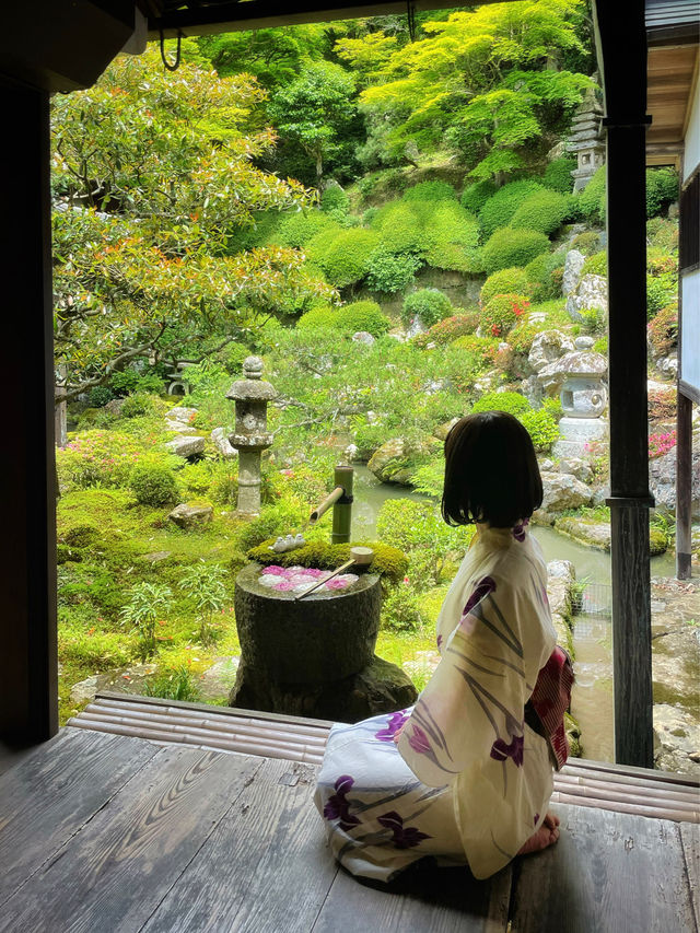 絶対行きたくなる❣️京都の映え紫陽花スポット☺️💠💐