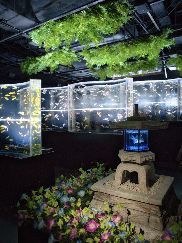 【東京】暑くても雨でも楽しめる映え空間✨金魚×花の世界を体験😍