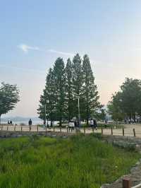 서울근교 강변길 걸으며 데이트하기 좋은 곳 [양평 두물머리]