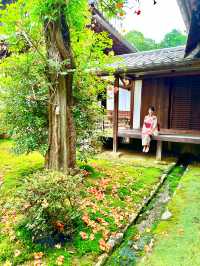 〜京都府〜絶世の美女のお寺さん歴史を感じる雅なお寺
