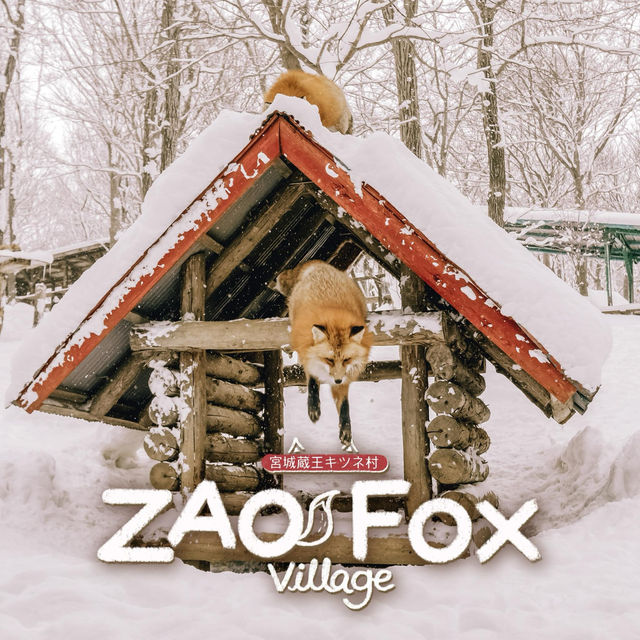 หมู่บ้านจิ้งจอก แห่งเมืองซาโอะ 🦊