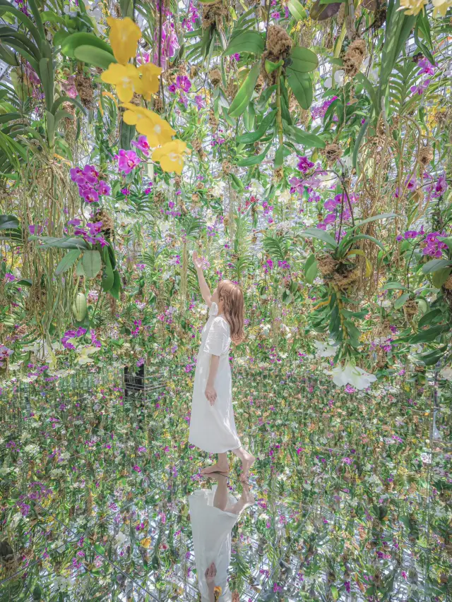 【東京都江東區】沉浸式體驗！ teamLab Planets！