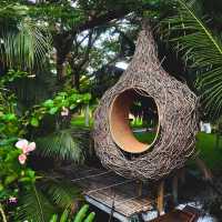 🌿Coco Duck Cafe