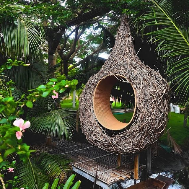 🌿Coco Duck Cafe