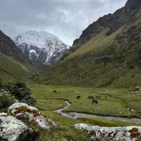 Salkantay Trek: A Challenging yet Breathtaking Adventure