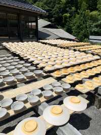 【大分/日田】300年受け継がれる伝統技術！世界一と称された民陶の里！