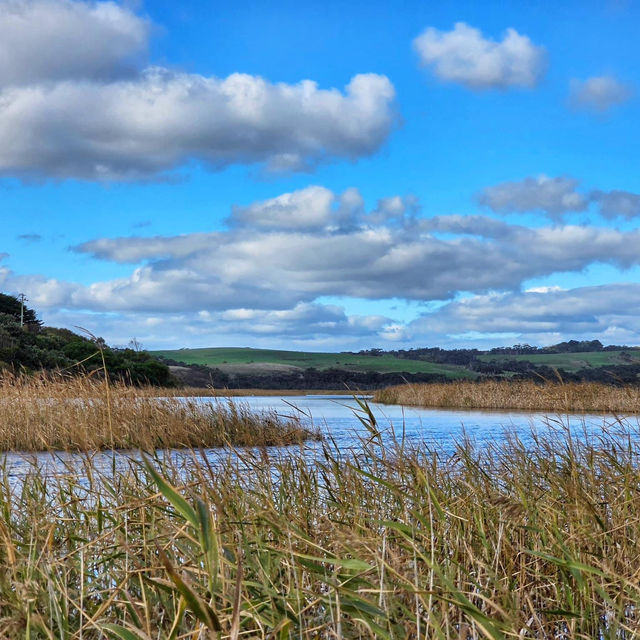 Princetown Wetlands Boardwalk