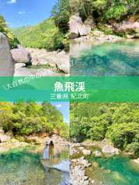 【三重 紀北町】三重の自然美 魚飛渓🏞✨